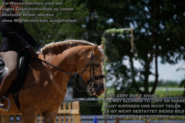 s_K3F04629.JPG